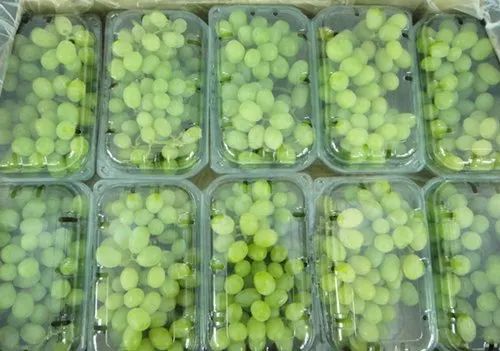 Best Grapes export import company India